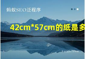 42cm*57cm的纸是多大