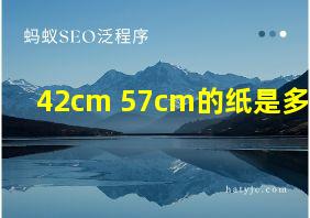 42cm 57cm的纸是多大