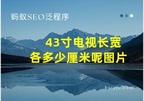 43寸电视长宽各多少厘米呢图片