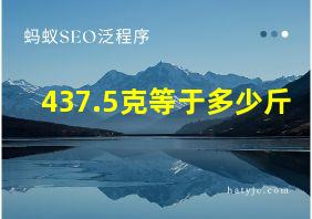 437.5克等于多少斤