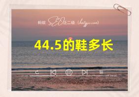 44.5的鞋多长