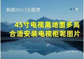 45寸电视离地面多高合适安装电视柜呢图片