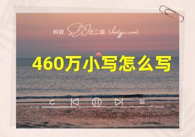 460万小写怎么写