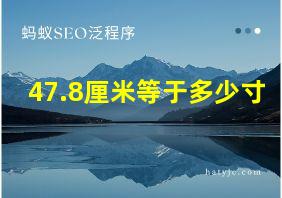 47.8厘米等于多少寸