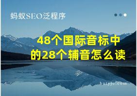 48个国际音标中的28个辅音怎么读