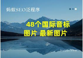 48个国际音标图片 最新图片