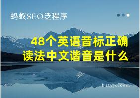 48个英语音标正确读法中文谐音是什么