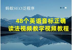 48个英语音标正确读法视频教学视频教程