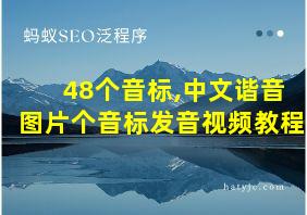 48个音标,中文谐音图片个音标发音视频教程