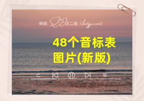 48个音标表图片(新版)