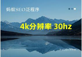 4k分辨率 30hz