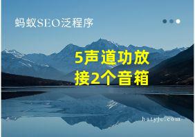 5声道功放接2个音箱