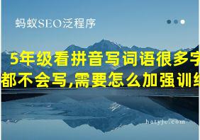 5年级看拼音写词语很多字都不会写,需要怎么加强训练