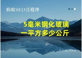 5毫米钢化玻璃一平方多少公斤