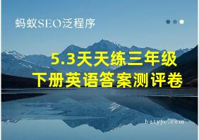 5.3天天练三年级下册英语答案测评卷