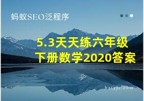 5.3天天练六年级下册数学2020答案