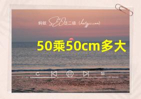 50乘50cm多大