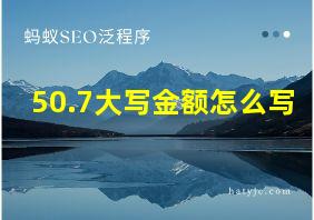 50.7大写金额怎么写