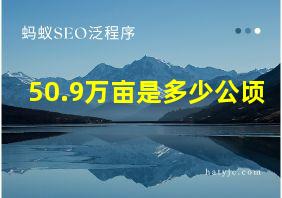 50.9万亩是多少公顷