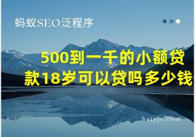 500到一千的小额贷款18岁可以贷吗多少钱