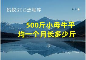 500斤小母牛平均一个月长多少斤