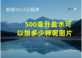 500毫升盐水可以加多少钾呢图片