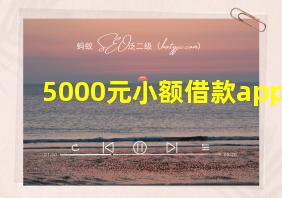 5000元小额借款app