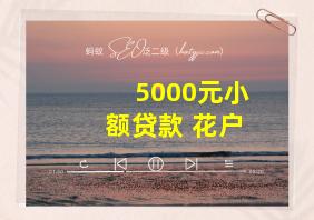 5000元小额贷款 花户