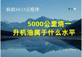 5000公里烧一升机油属于什么水平