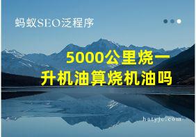 5000公里烧一升机油算烧机油吗