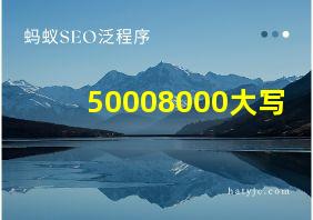 50008000大写