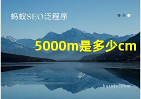 5000m是多少cm