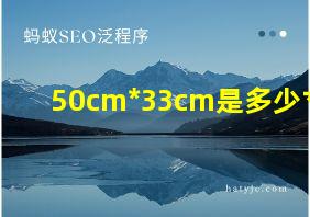 50cm*33cm是多少寸