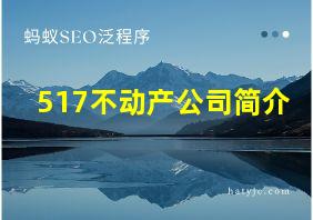 517不动产公司简介