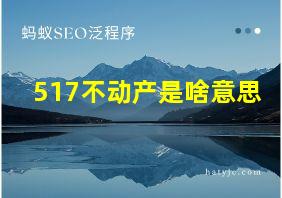 517不动产是啥意思