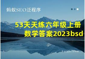 53天天练六年级上册数学答案2023bsd