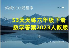 53天天练六年级下册数学答案2023人教版