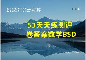 53天天练测评卷答案数学BSD