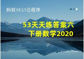 53天天练答案六下册数学2020