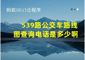 539路公交车路线图查询电话是多少啊