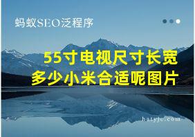 55寸电视尺寸长宽多少小米合适呢图片