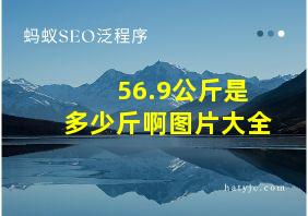 56.9公斤是多少斤啊图片大全