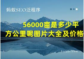 56000亩是多少平方公里呢图片大全及价格