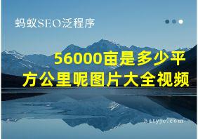 56000亩是多少平方公里呢图片大全视频