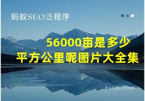 56000亩是多少平方公里呢图片大全集