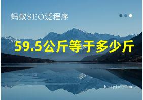 59.5公斤等于多少斤