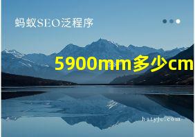 5900mm多少cm