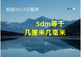 5dm等于几厘米几毫米