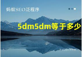 5dm5dm等于多少