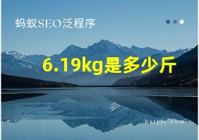 6.19kg是多少斤